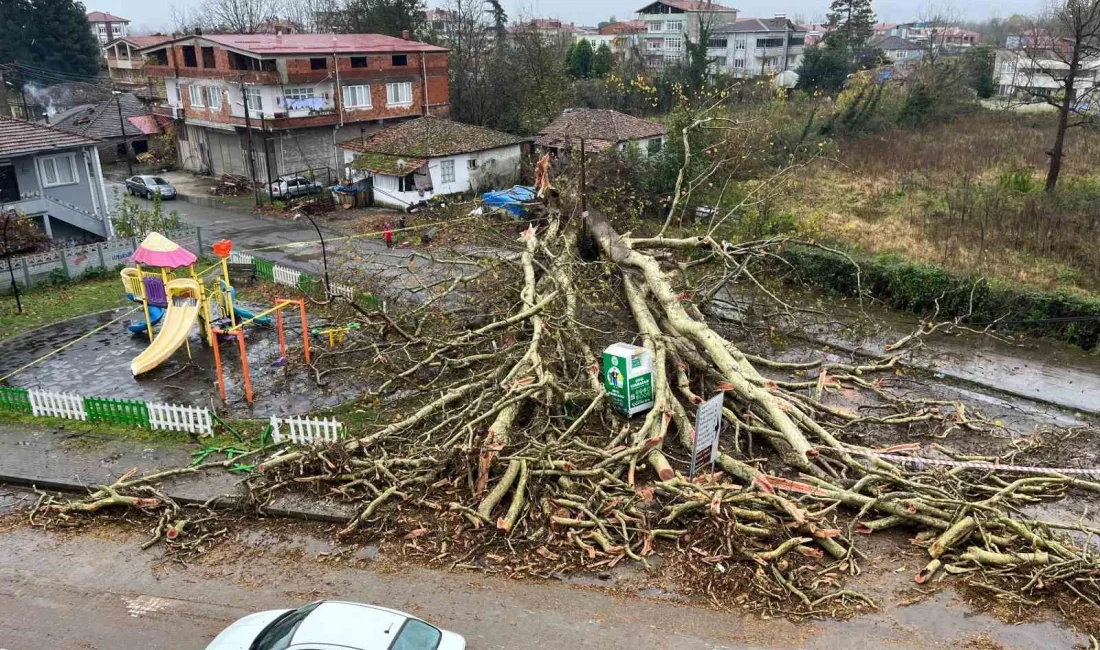 ÇARŞAMBA İLÇESİNDE DÜN AKŞAM