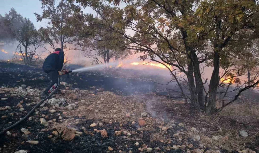 ADIYAMAN'IN GÖLBAŞI İLÇESİNDE ÇIKAN