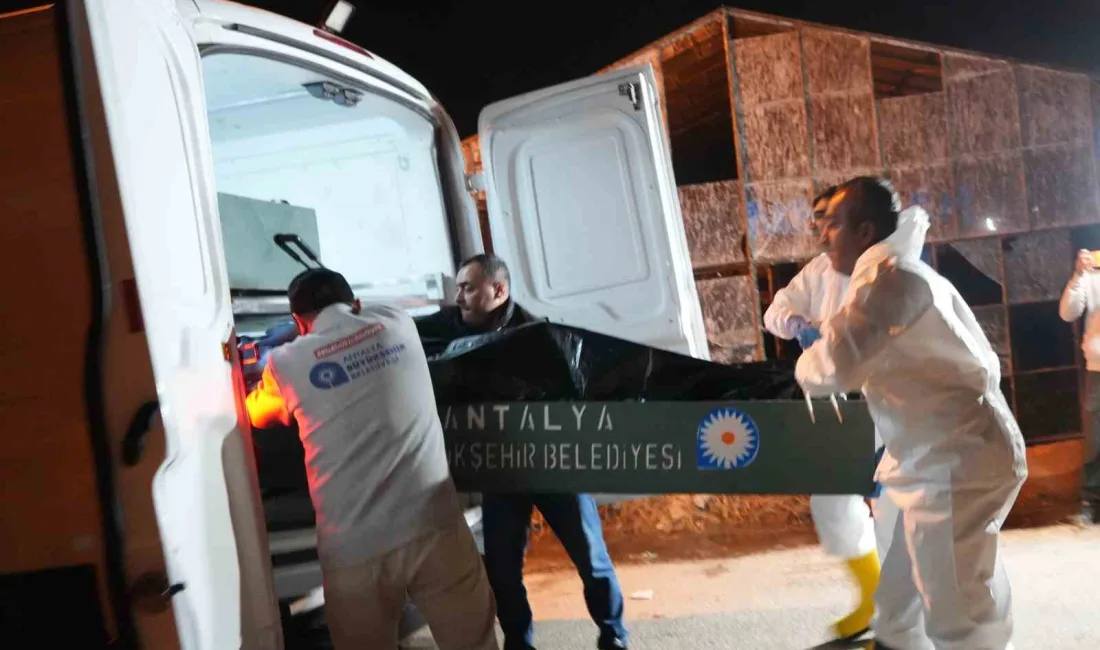 ANTALYA'DA METRUK BİR EVDE