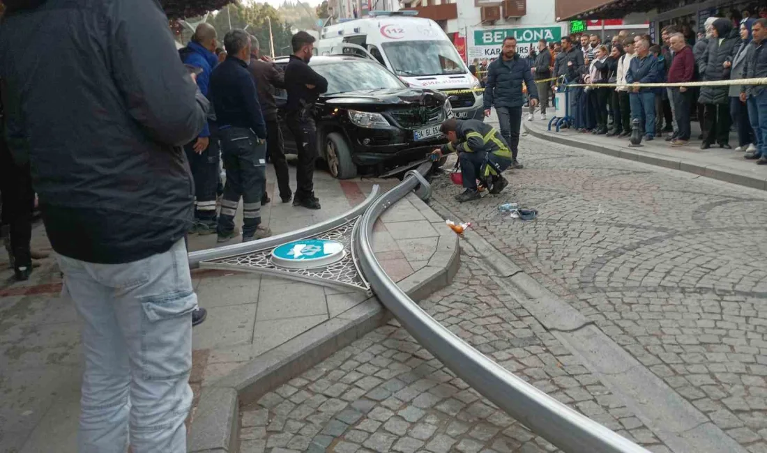 KOCAELİ'NİN KARAMÜRSEL İLÇESİNDE KONTROLDEN