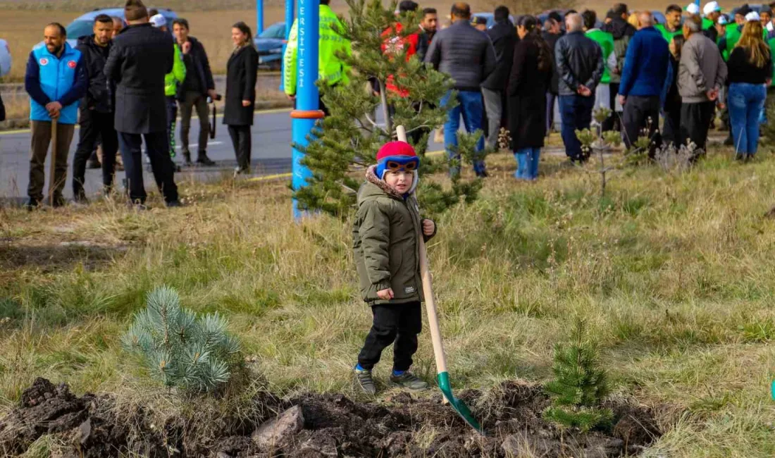 ARDAHAN'DA 500 ADET FİDAN