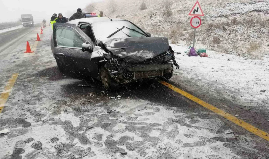 ARDAHAN'DA KAR YAĞIŞI VE