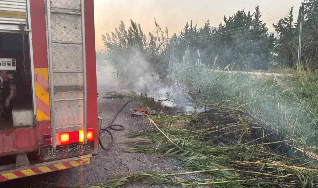 HATAY’DA DERE YATAĞI ALEV