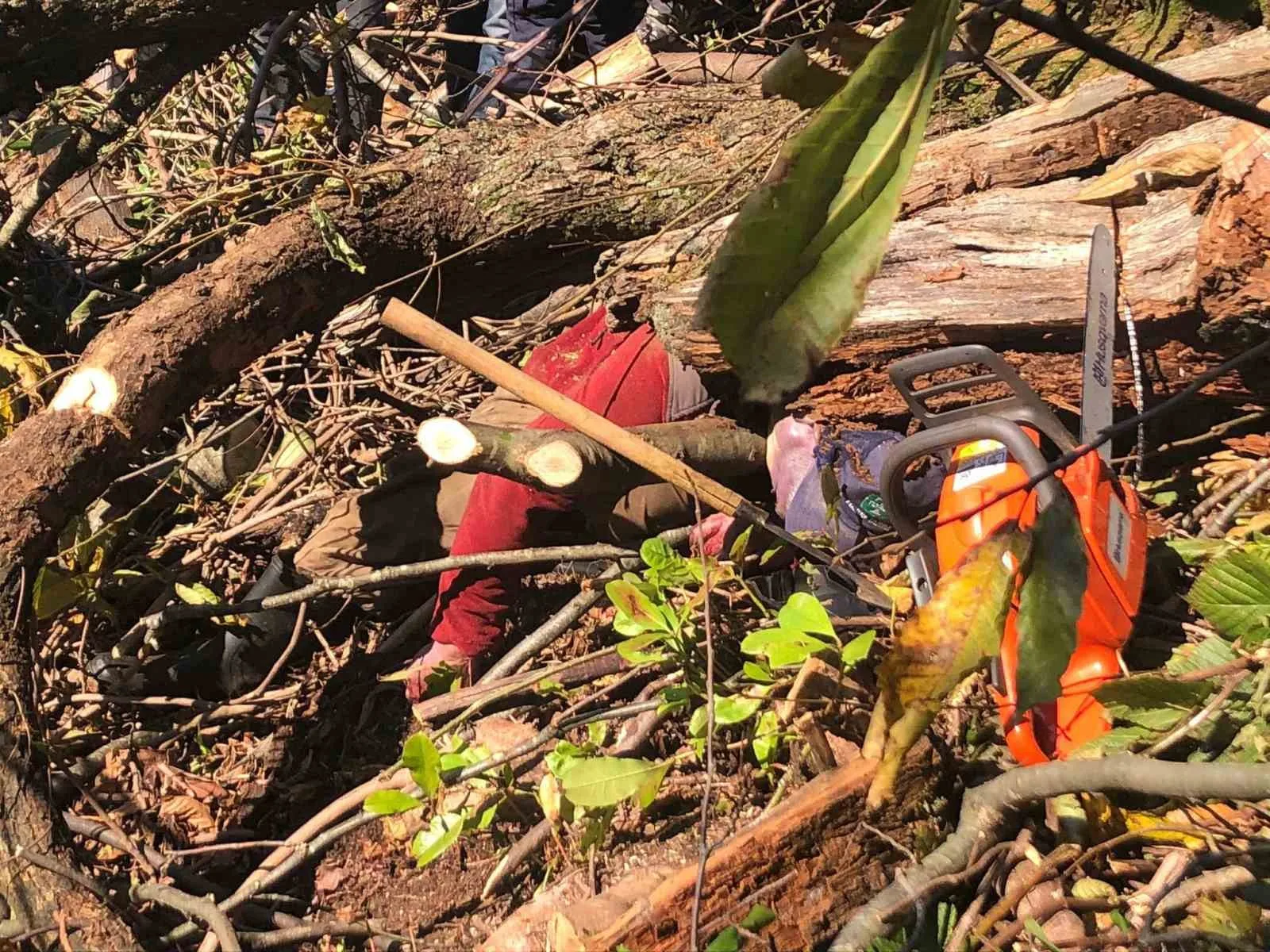 Artvin’de kestiği ağaç üzerine devrilen adam hayatını kaybetti