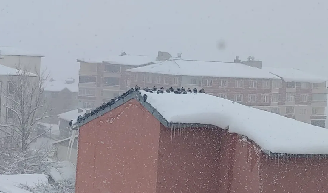 ERZURUM'UN AŞKALE İLÇESİNDE DÜN