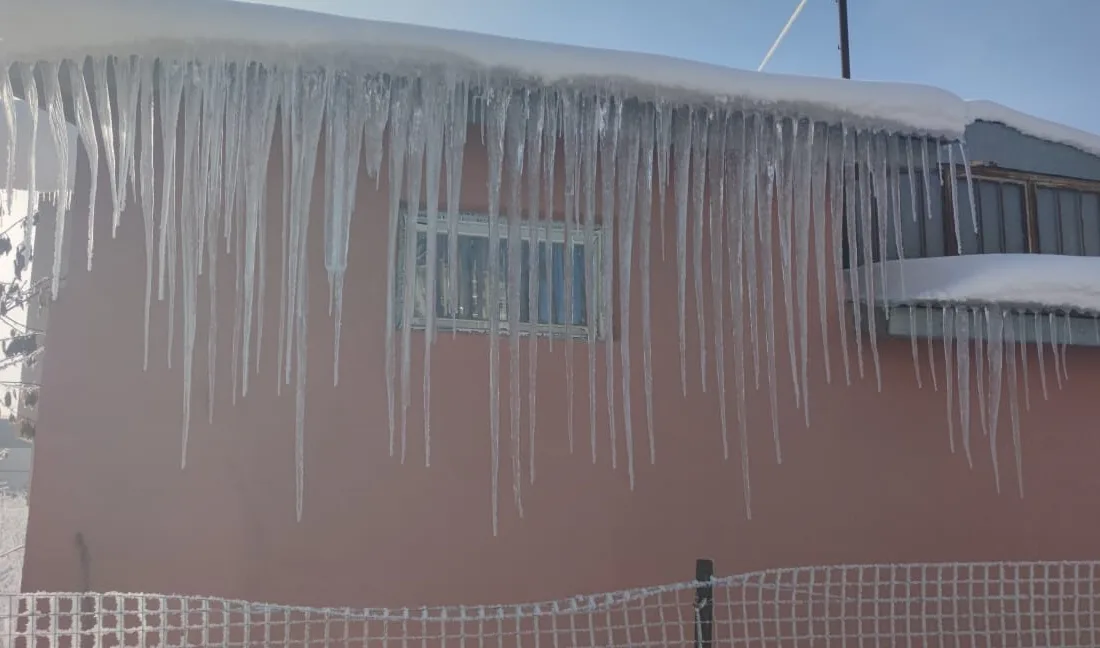 ERZURUM'UN AŞKALE İLÇESİNDE SOĞUK