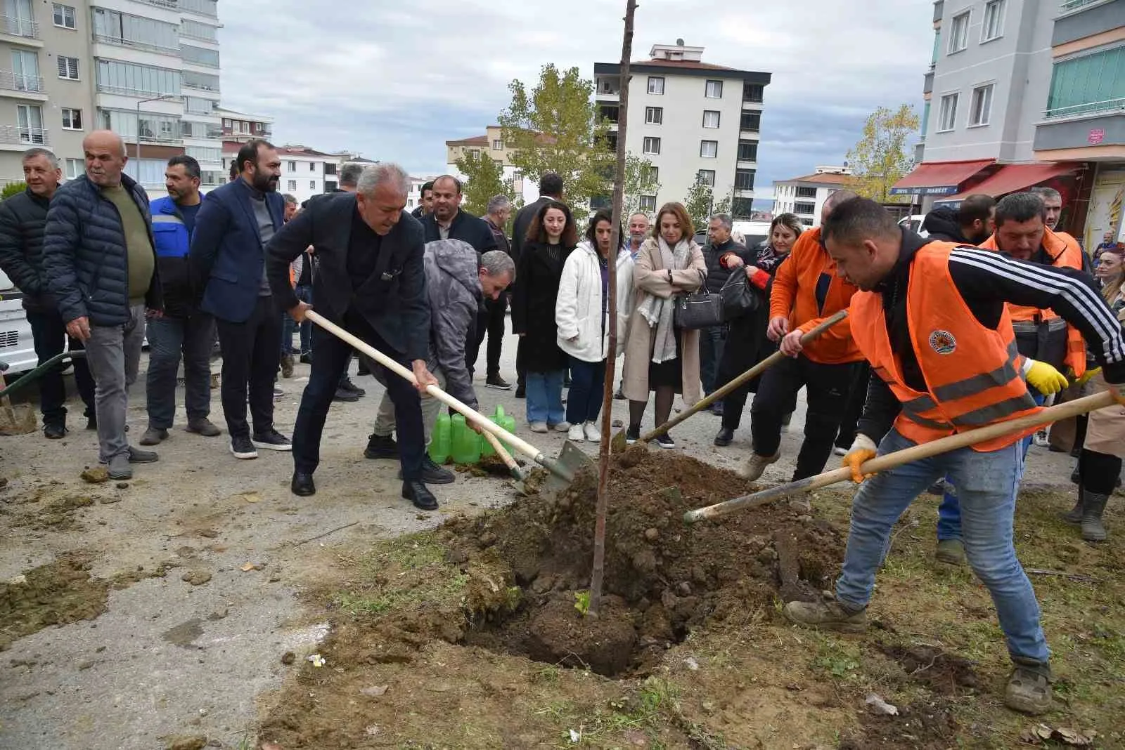 Atakum yeşile bürünüyor