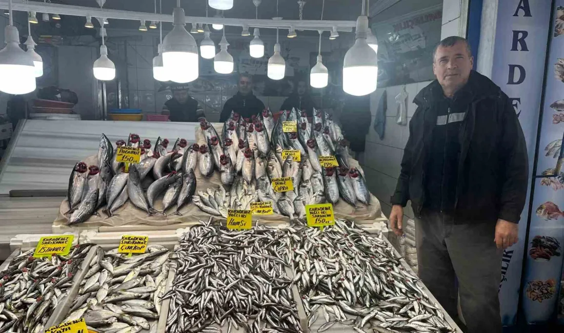 BALIK TEZGAHLARINDA HAMSİ, ÇİNEKOP