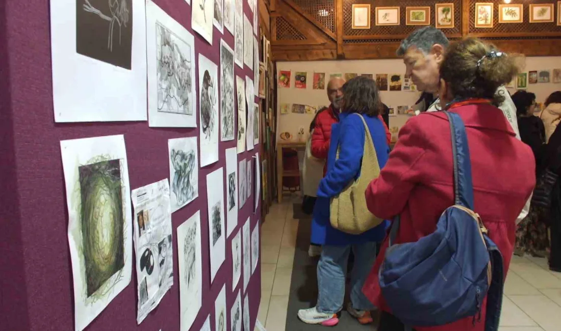 BALIKESİR'İN GÖMEÇ İLÇESİ, ZEYTİNİN