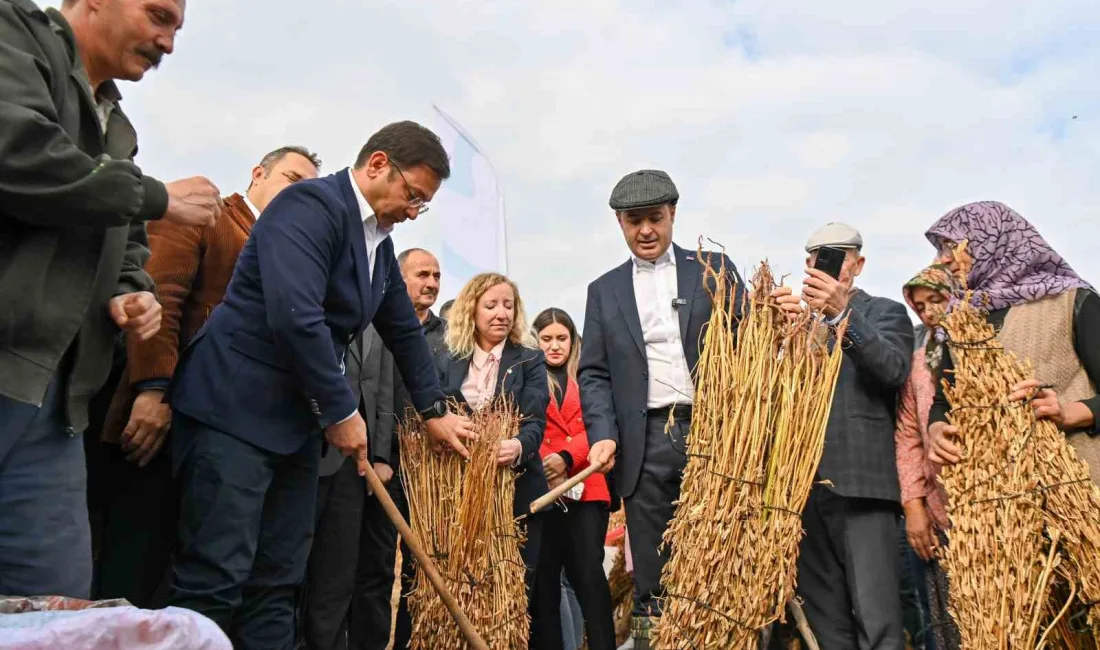 BALIKESİR BÜYÜKŞEHİR BELEDİYESİ, ÜRETİCİ