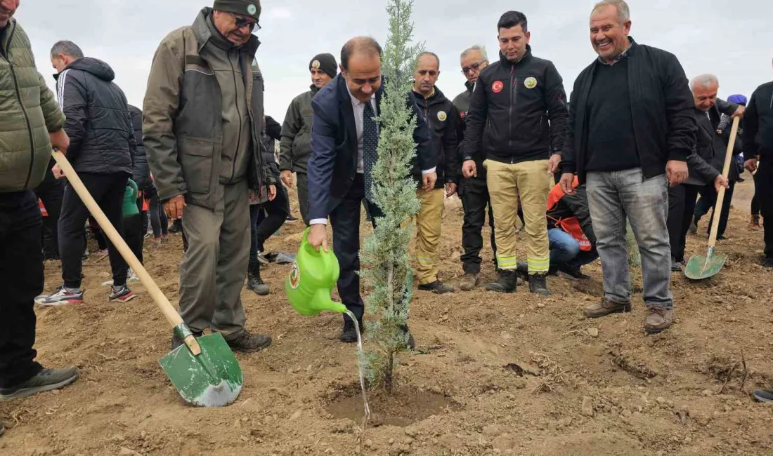 BANDIRMA'DA MİLLİ AĞAÇLANDIRMA GÜNÜNDE