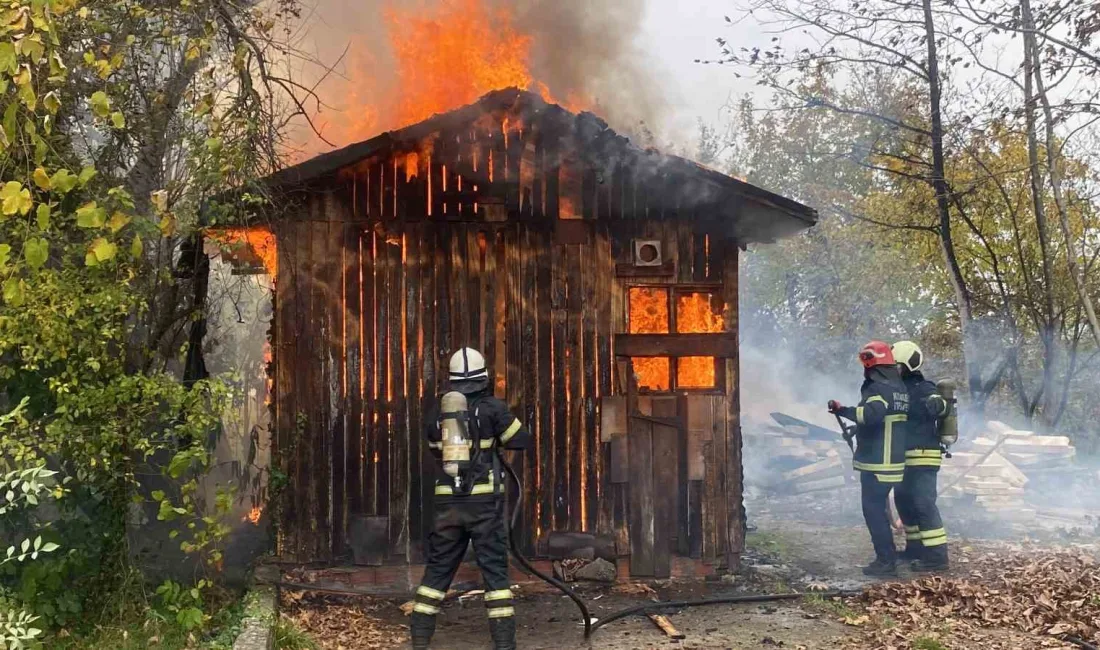 KOCAELİ'NİN BAŞİSKELE İLÇESİNDE BARAKA