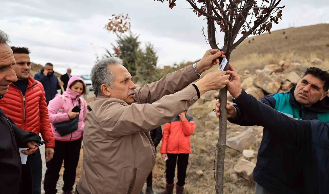 TALAS BELEDİYE BAŞKANI MUSTAFA YALÇIN, ALİ DAĞI’NDA DÜZENLENEN FİDAN DİKME