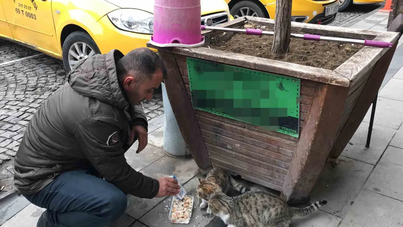 Bayburtlu taksici siftahı kedileri besleyerek yapıyor