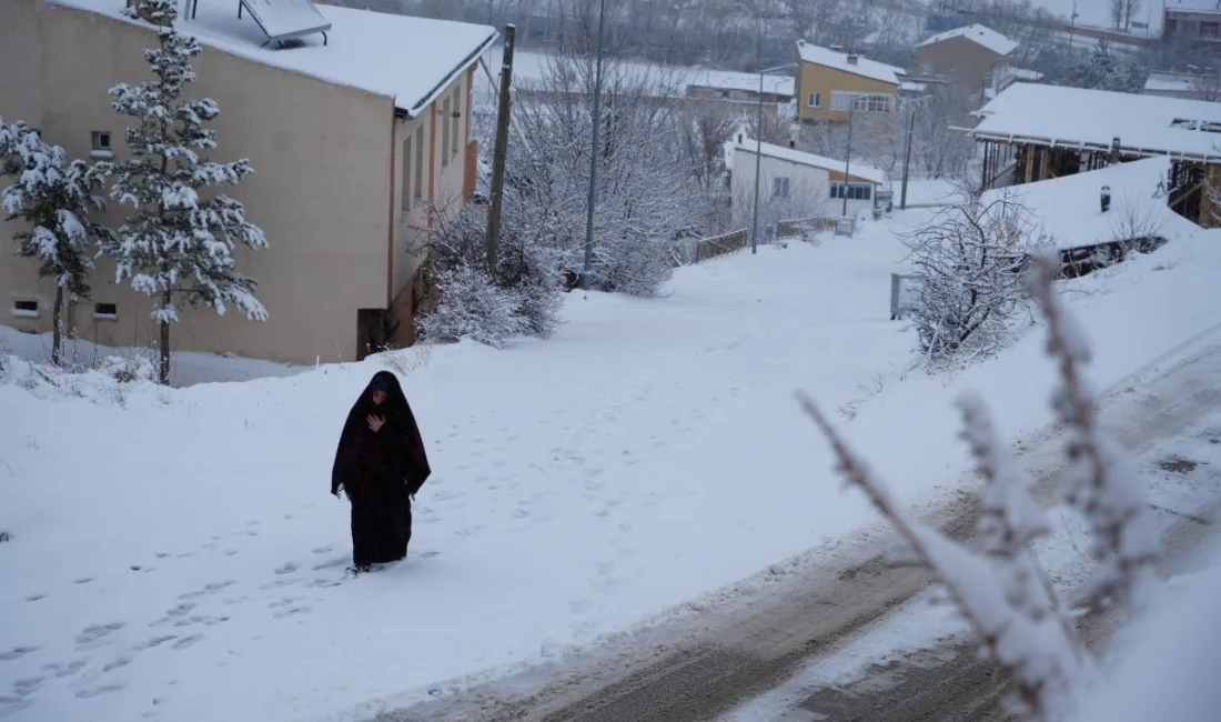 BAYBURT'TA BEKLENEN KAR PAZAR