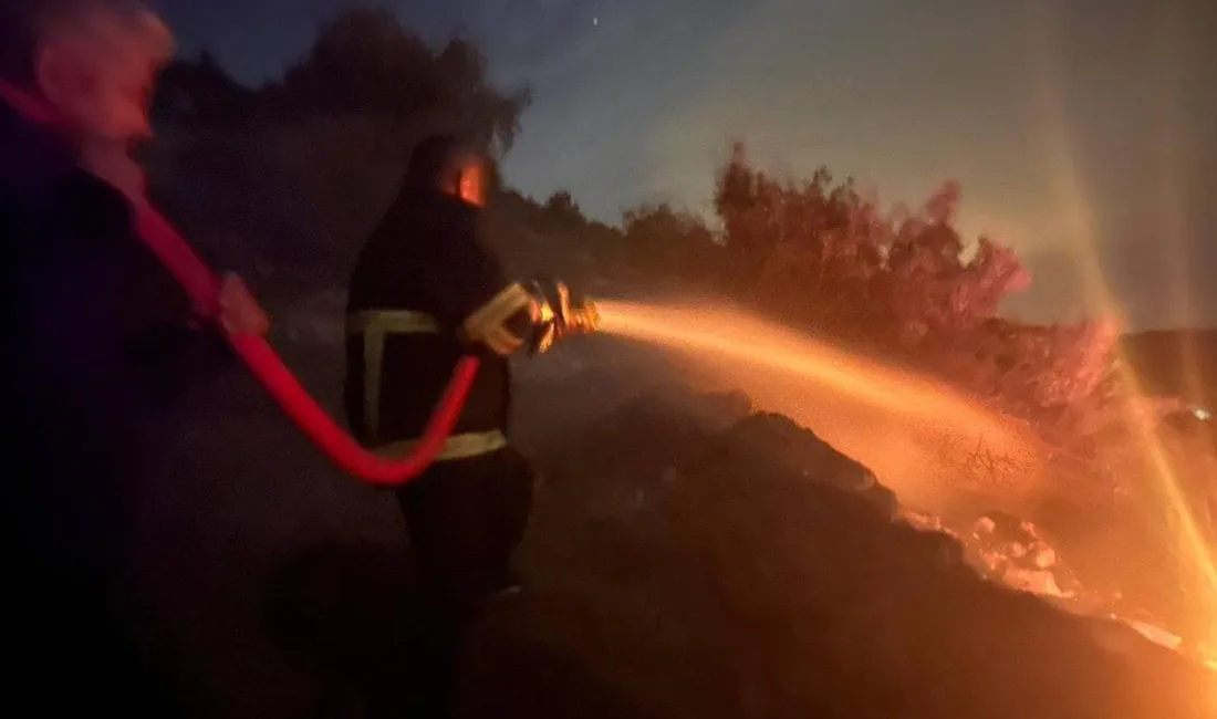 HATAY'DA ORMANLIK ALANDA ÇIKAN