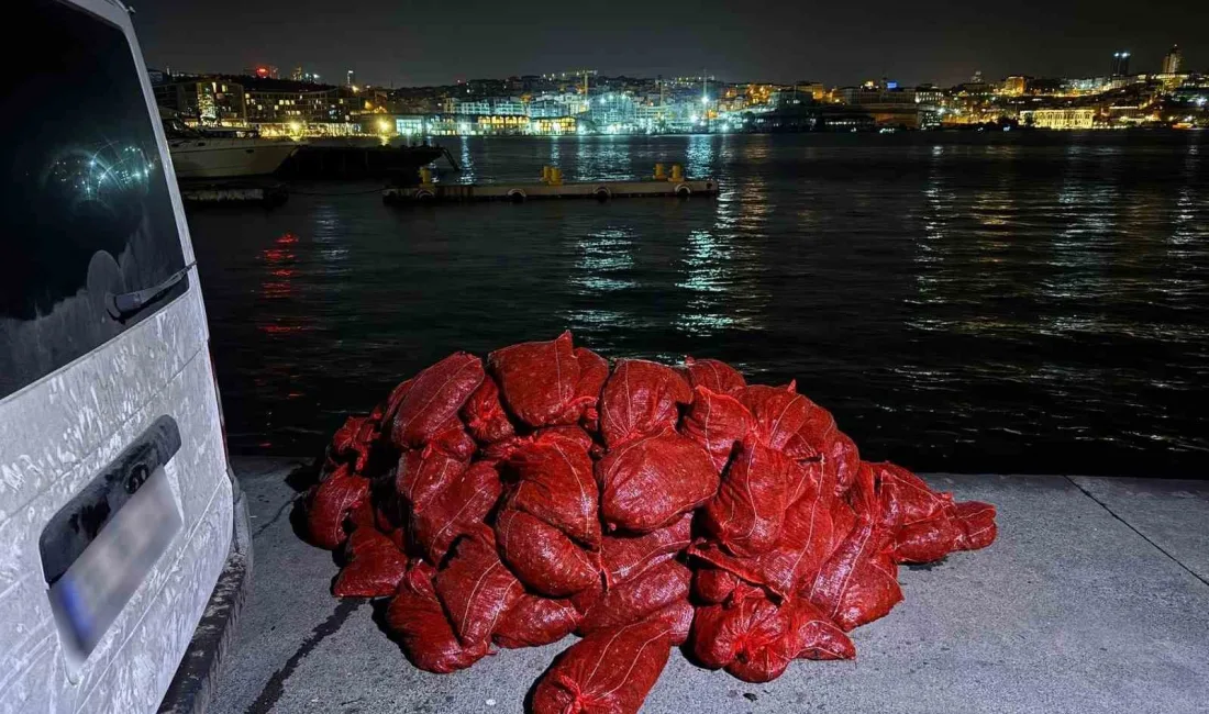 BEYOĞLU KARAKÖY'DE DÜZENLENEN OPERASYONDA 3 TON KAÇAK MİDYE ELE GEÇİRİLİRKEN,