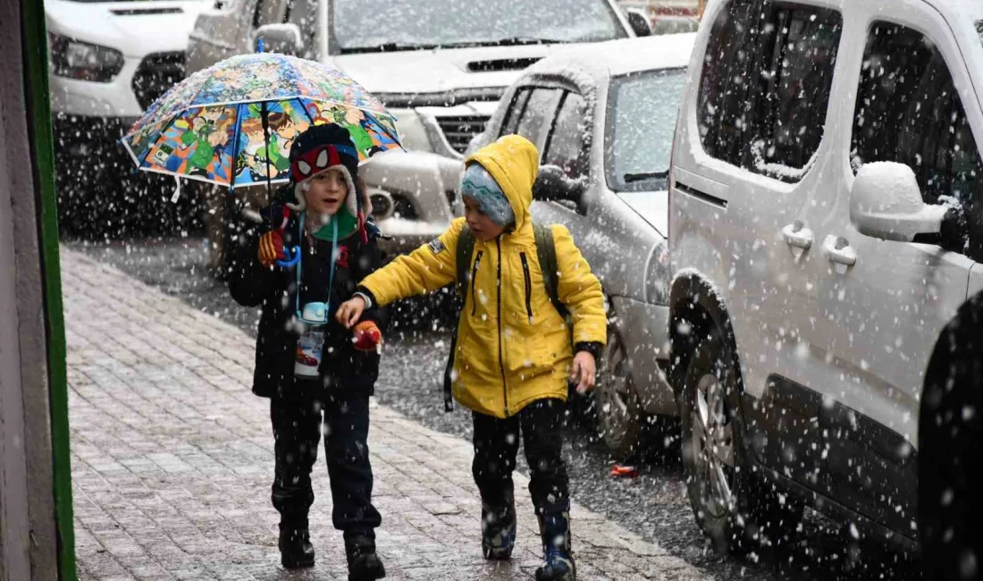 ŞIRNAK'IN BEYTÜŞŞEBAP İLÇESİNDE KAR