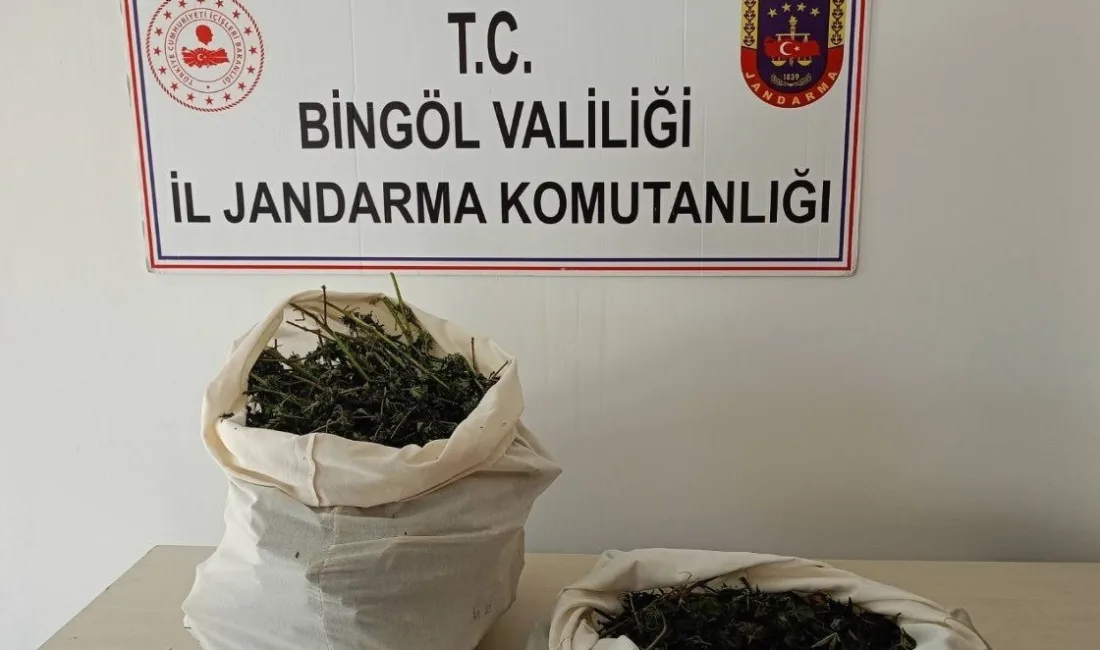 BİNGÖL'ÜN GENÇ İLÇESİNDE JANDARMA