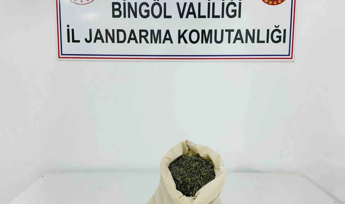 BİNGÖL’DE JANDARMA EKİPLERİNCE DÜZENLENEN