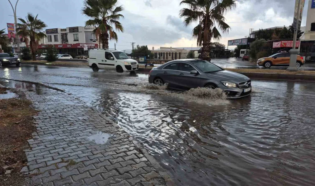 MUĞLA’NIN BODRUM İLÇESİNDE AYLARDIR