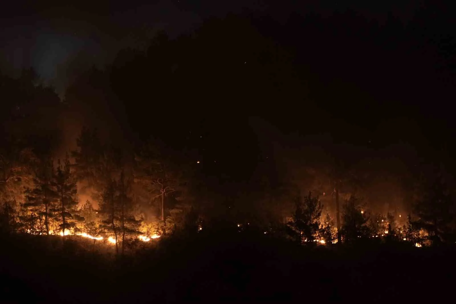 Bursa-Balıkesir il sınırındaki orman yangınına 8. saatinde müdahale devam ediyor