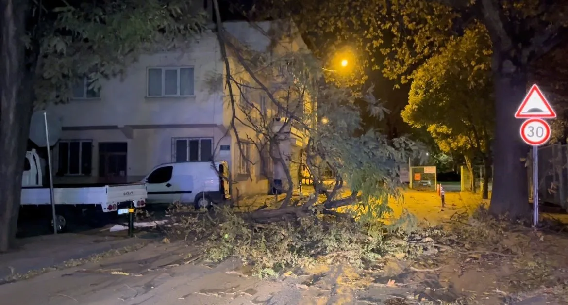 Bursa Büyükşehir Belediyesi lodosa karşı uyardı