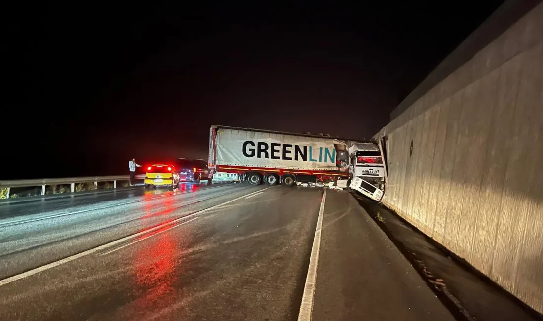 BURSA'DA KONTROLDEN ÇIKAN TIR,