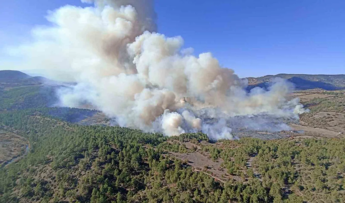 BURSA’DA ORMAN YANGINI, HAVADAN