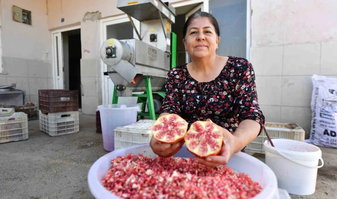 MERSİN BÜYÜKŞEHİR BELEDİYESİ, NAR