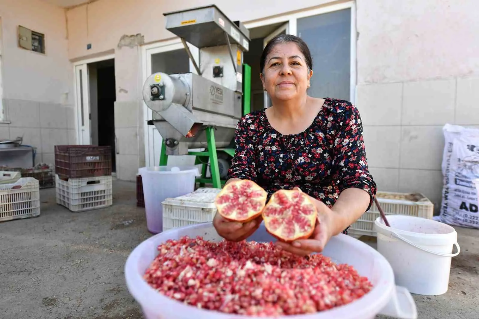 Büyükşehir Belediyesinden üreticiye ’Nar Taneleme Makinesi’ desteği