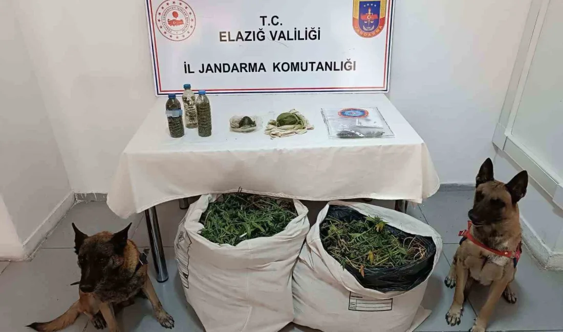 ELAZIĞ VE DİYARBAKIR JANDARMA