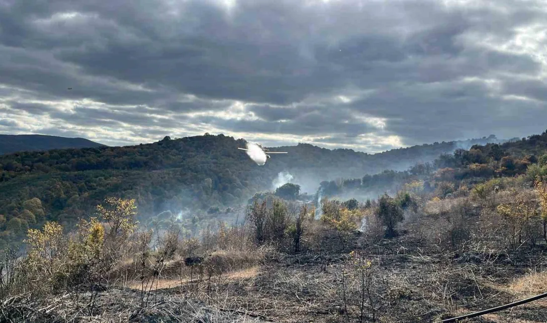 ÇANAKKALE’NİN BİGA İLÇESİNDE MEYDANA