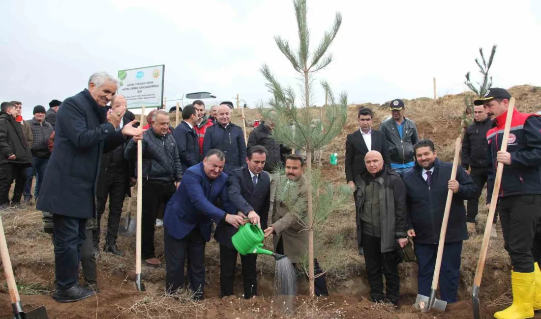 BİTLİS’İN AHLAT İLÇESİNDE DÜNYA