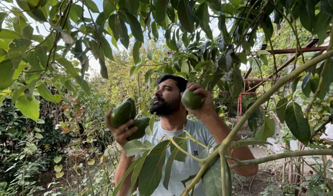 DEPREMİN YARALARININ SARILDIĞI HATAY'IN