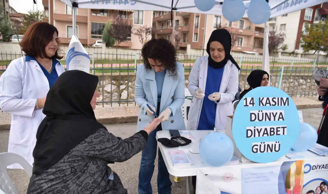 BAŞİSKELE'DE DÜNYA DİYABET GÜNÜ