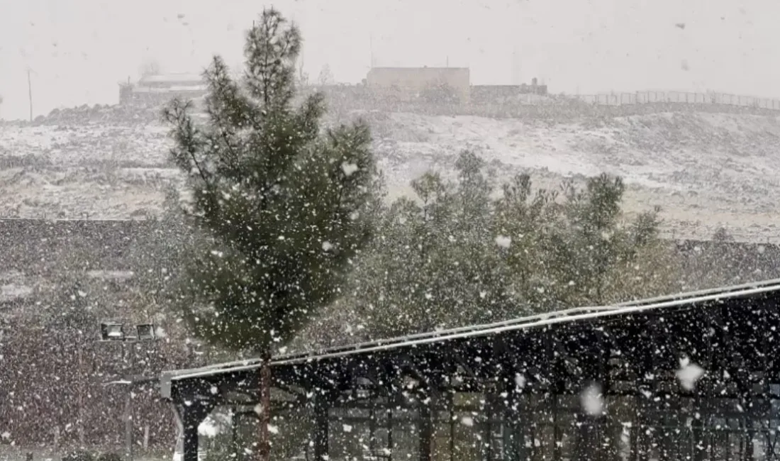 DİYARBAKIR'DA SABAH SAATLERİNDEN İTİBAREN