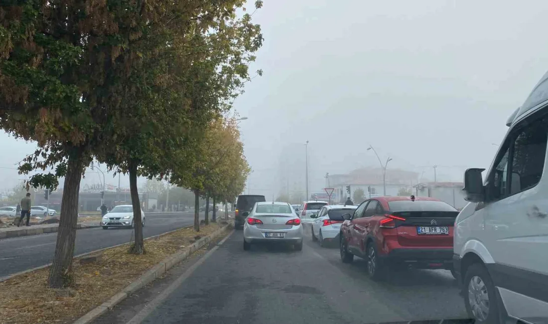 DİYARBAKIR'DA SABAH SAATLERİNDE YOĞUN