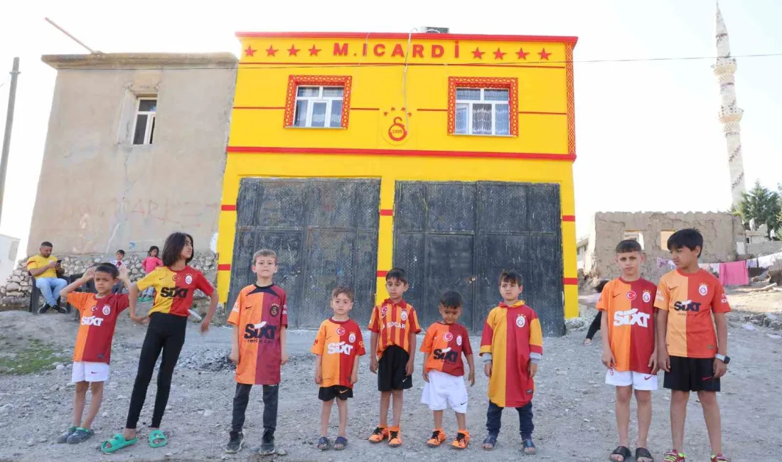 DİYARBAKIRLI FANATİK GALATASARAY TARAFTARI,