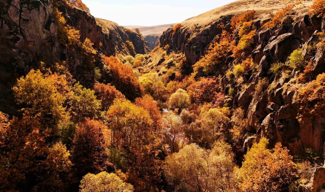 BİTLİS’İN AHLAT İLÇESİNDE BULUNAN