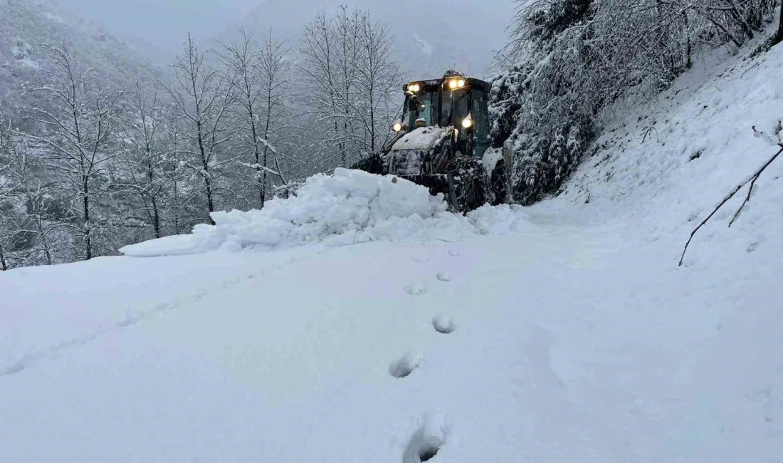 DOĞU KARADENİZ BÖLGESİ’NDE BULUNAN