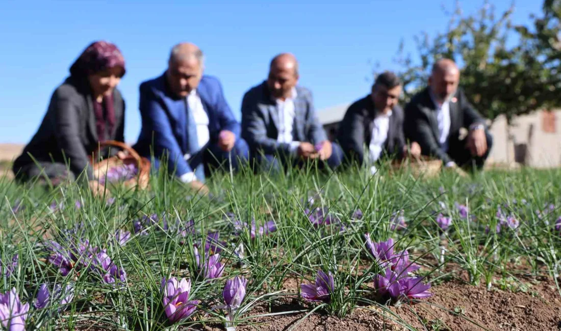 TARIM VE ORMAN BAKANLIĞI’NIN