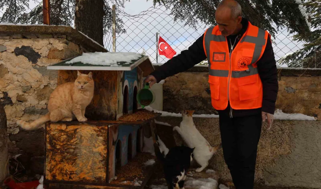 ELAZIĞ BELEDİYESİ TARAFINDAN KIŞ