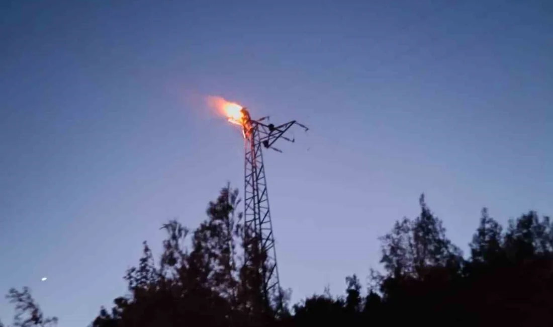 HATAY’DA ÇIKTIĞI ELEKTRİK DİREĞİNDE