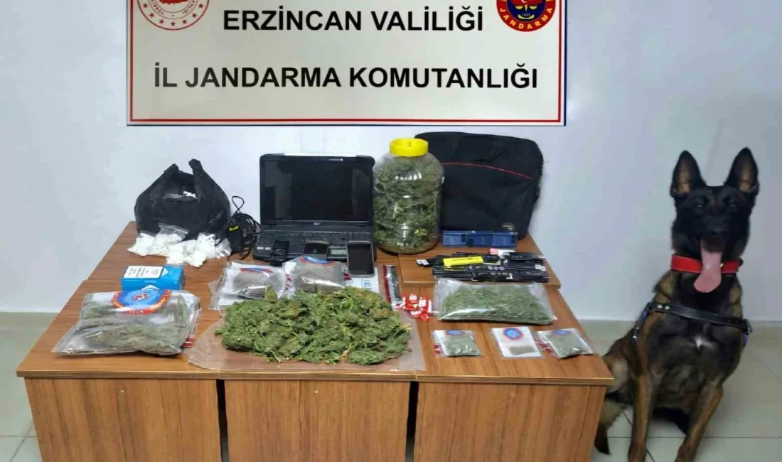 ERZİNCAN’DA JANDARMA SUÇ OLAYLARINA