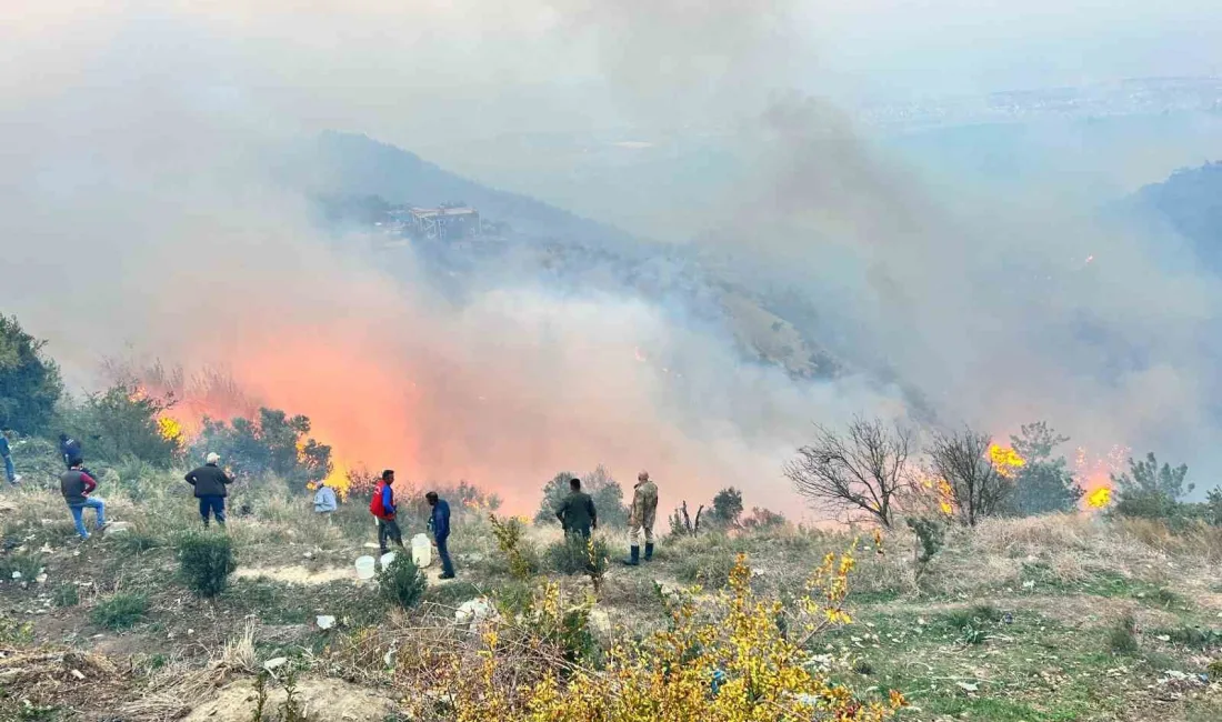 HATAY’IN ARSUZ İLÇESİNDE ÇIKAN