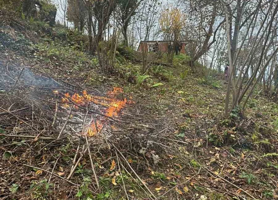 ZONGULDAK(İHA)-ZONGULDAK’TA FINDIK BAHÇESİNDE YAKILAN