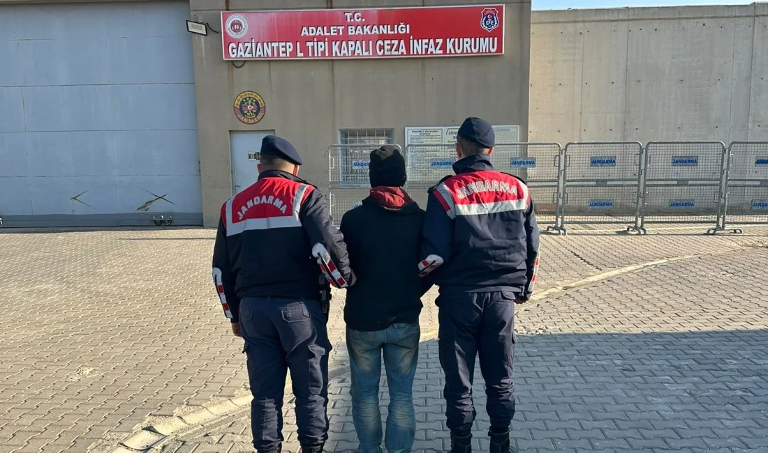 GAZİANTEP'TE ZEYTİN HIRSIZLIĞI YAPTIĞI