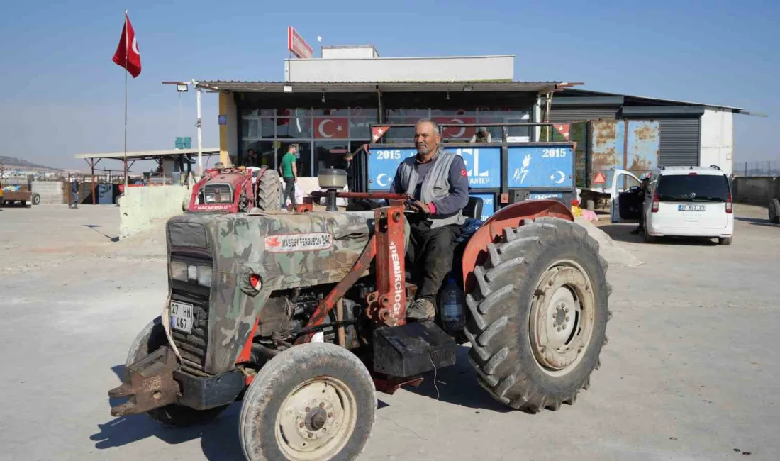 TÜRKİYE’NİN ZEYTİNYAĞI ÜRETİM MERKEZLERİNDEN