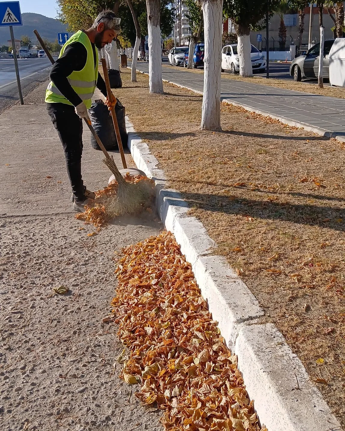 Germencik’te ’sonbahar’ temizliği